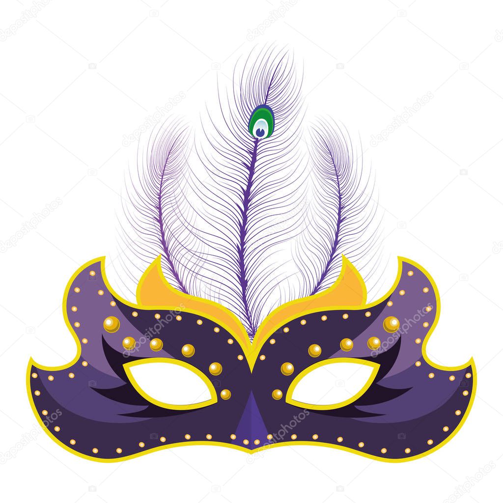 Mask with feathers mardi gras vector illustration graphic design