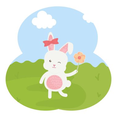 sevimli tavşan erkek alanında