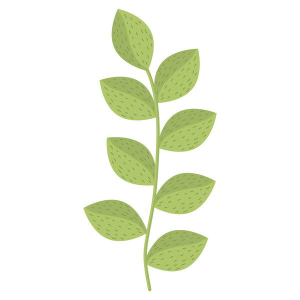 branch with leafs icon