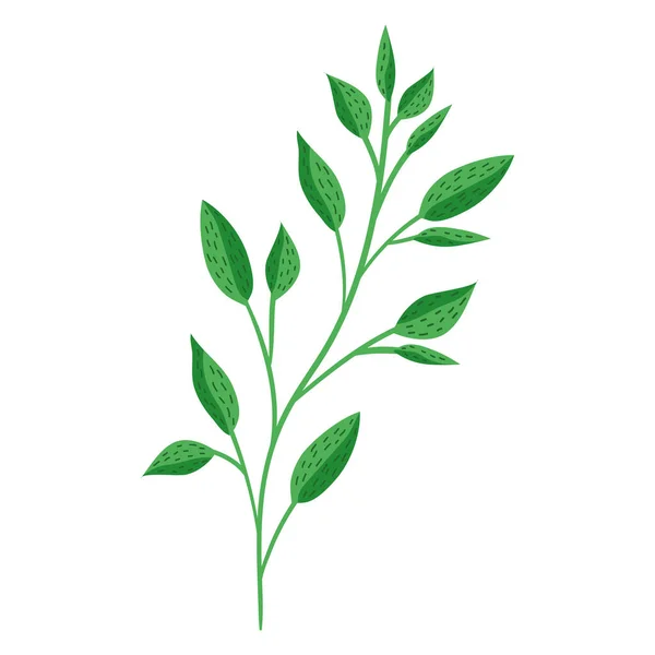 Branche avec icône de feuilles — Image vectorielle