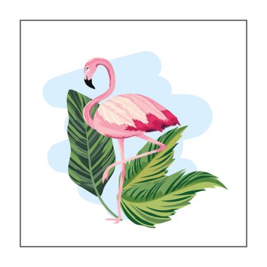 egzotik Flaman ile tropikal bitki yaprakları