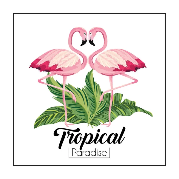 Flamingók pár állatok trópusi levelekkel — Stock Vector