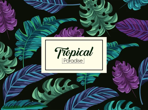 Tropical lämnar växter och exotiska etikett — Stock vektor