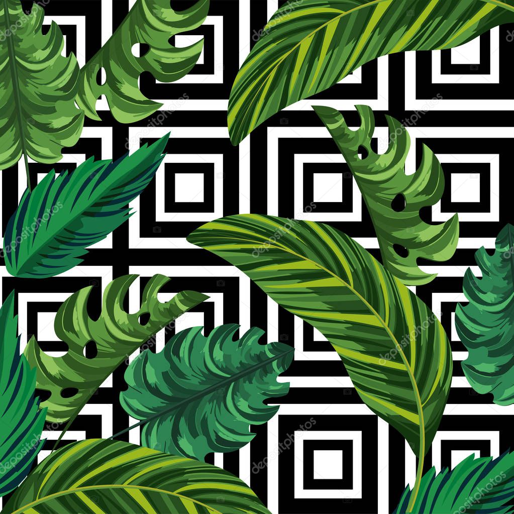 leaves plants and geometric figures background