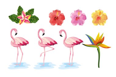Hayvanlar Egzotik tropik flamingolar çiçeklerle ayarla