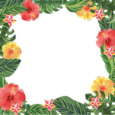 tropik çiçekler bitkiler egzotik yaprakları ile