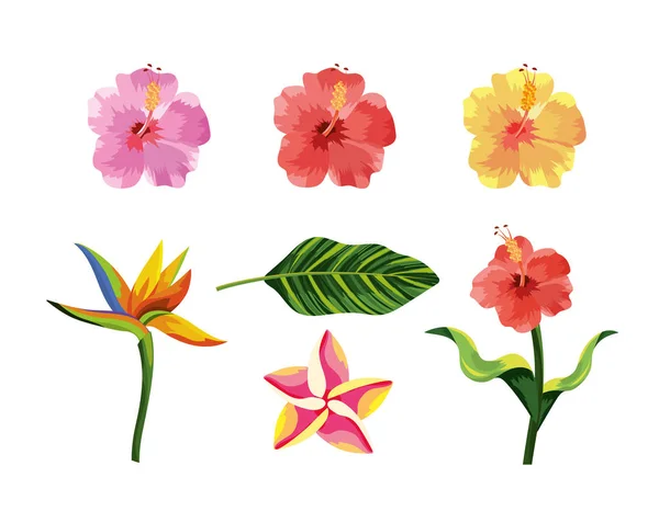熱帯の花植物やエキゾチックな葉を設定します。 — ストックベクタ