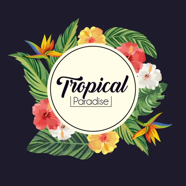 Label a trópusi virágok, növények, és hagy — Stock Vector