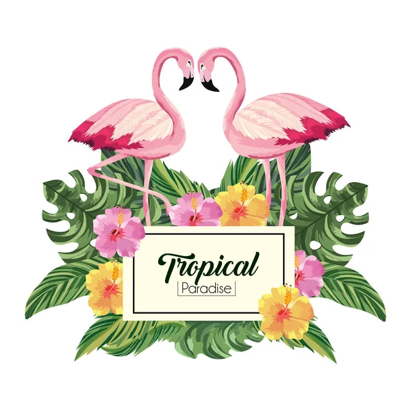 Etiket flamingolar hayvanlar ve tropikal yaprak ile — Stok Vektör