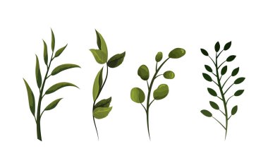 set egzotik dalları yaprakları bitki