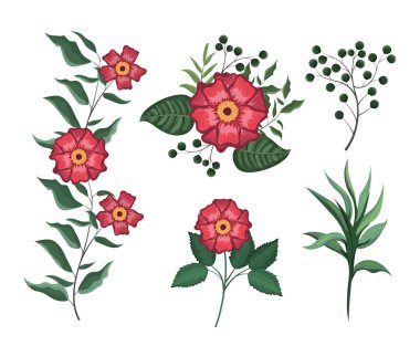 egzotik çiçek bitki dalları yaprakları ile ayarla