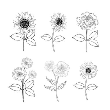 tropikal çiçek ve gül bitki yaprakları ile ayarla