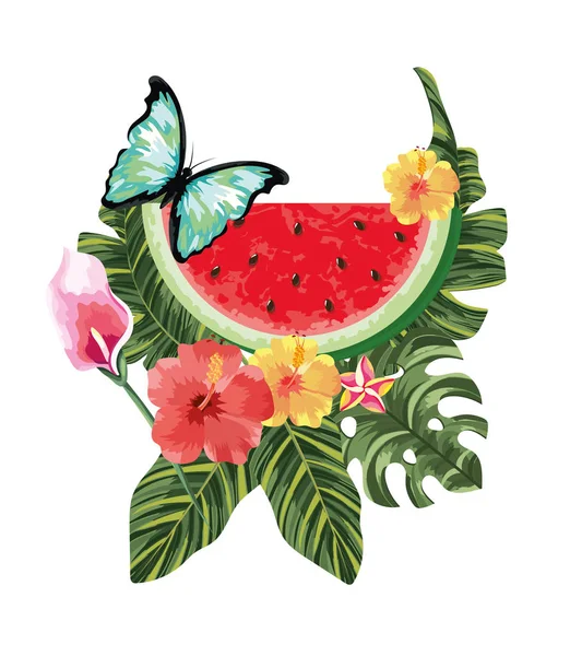 Motyl z tropikalnych arbuza i egzotycznych kwiatów — Wektor stockowy