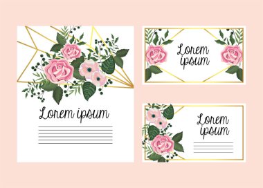 dalları yaprakları ile gül ve çiçek bitki kartlarla ayarla