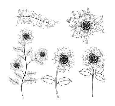 Ayçiçeği bitki dalları yaprakları ile ayarla