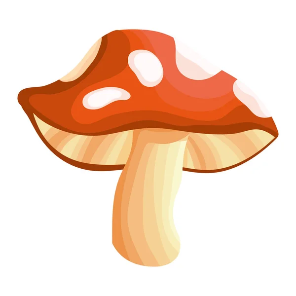 Syrové houby kreslený — Stockový vektor