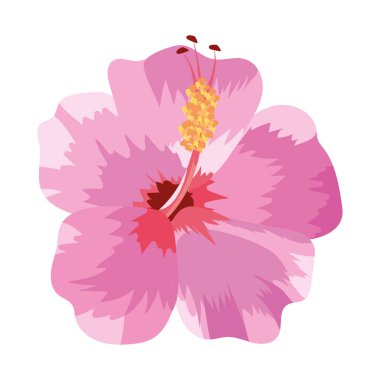 doğa çiçek çizgi film