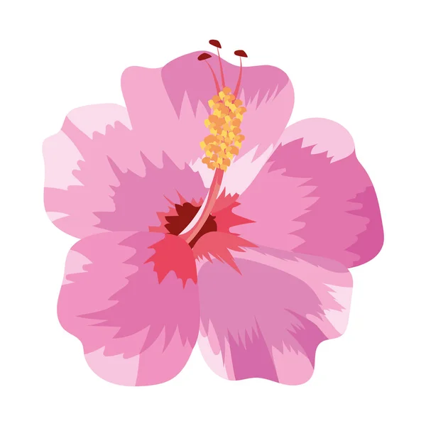 Nature flower cartoon — Stock Vector
