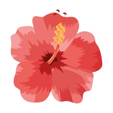 doğa çiçek çizgi film