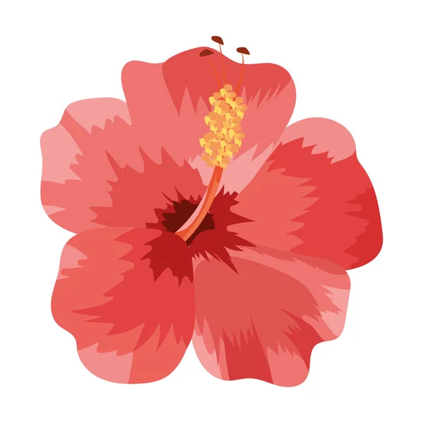 Nature flower cartoon — Stock Vector