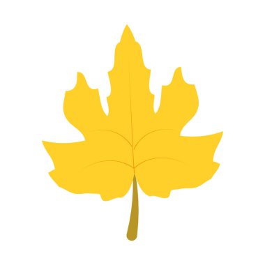 İzole yaprak tasarımı