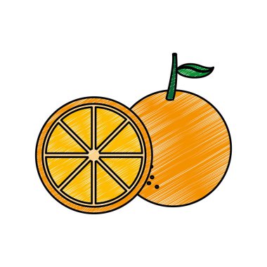 Turuncu meyve sağlıklı ve organik gıda Tema izole tasarım vektör çizim