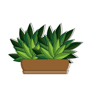 İzole bitki tasarımı