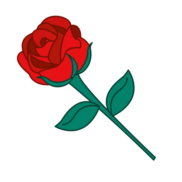 Izolované růže design — Stockový vektor