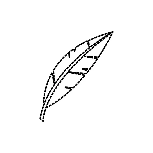 Diseño de plumas aisladas — Vector de stock