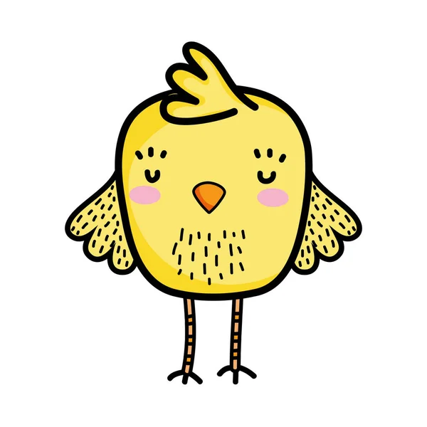 Chick Ptačí Farma Zvířat Křídly Vektorové Ilustrace — Stockový vektor