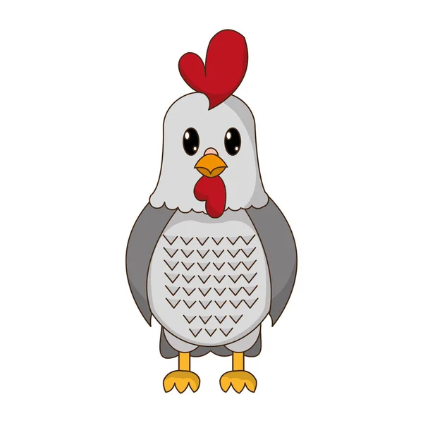 Rooster Cute Farm Animal Character Vector Illustration — Stock Vector