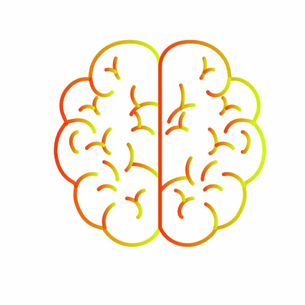 Diseño cerebral aislado — Vector de stock