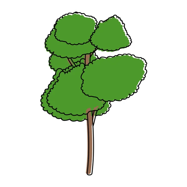 Conception d'arbres isolés — Image vectorielle