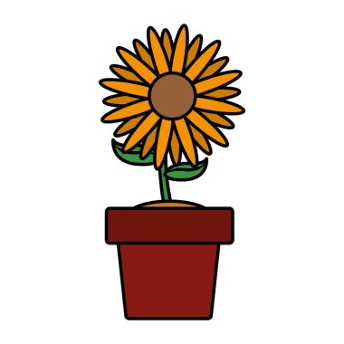 İzole ayçiçeği tasarım