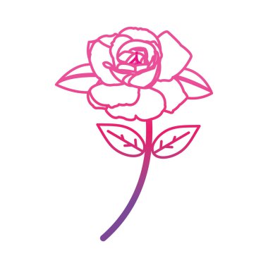 bozulmuş satır güzel gül ile doğa yaprakları ve yaprakları illüstrasyon vektör