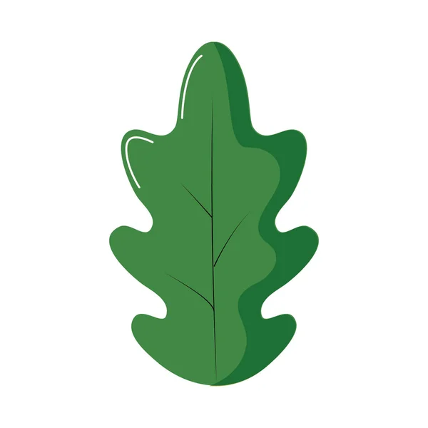 Diseño de hoja aislada — Vector de stock