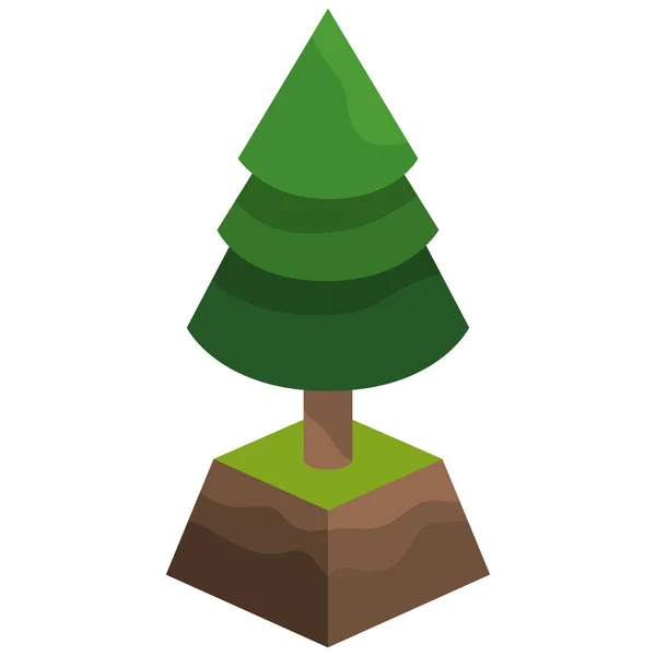 Geïsoleerde pine tree Algorithm — Stockvector