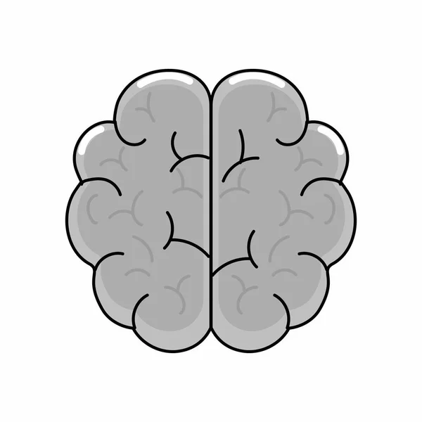 Conception isolée du cerveau — Image vectorielle