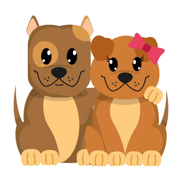 Buntes Paar Hund Niedliches Tier Zusammen Vektor Illustration — Stockvektor