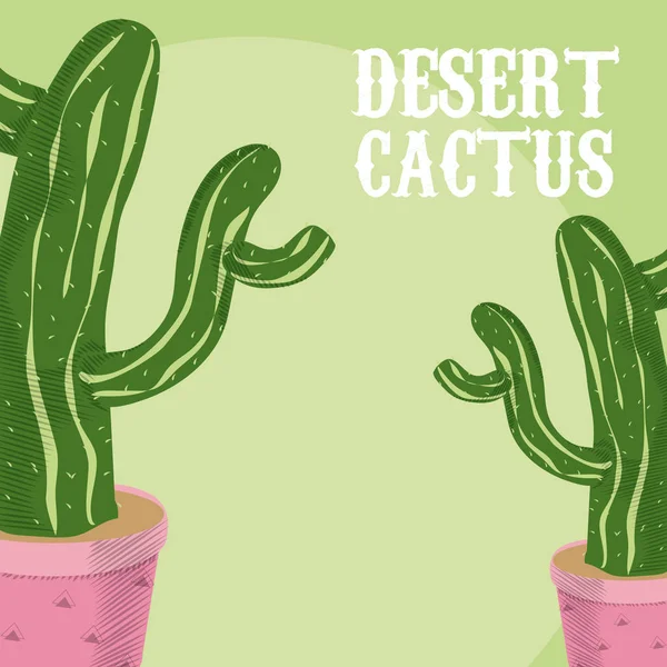Wüstenkaktuspflanze — Stockvektor