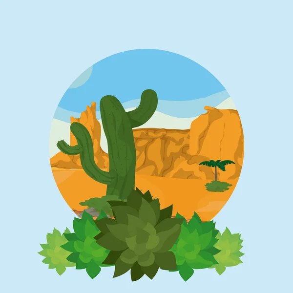 Pflanzen und Wüste — Stockvektor