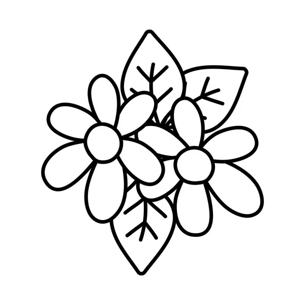 Ligne Belles Fleurs Avec Pétales Feuilles Décoration Vectorielle Illustration — Image vectorielle