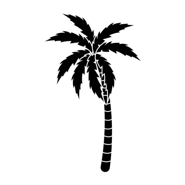 Isolated palm tree design — Stock Vector