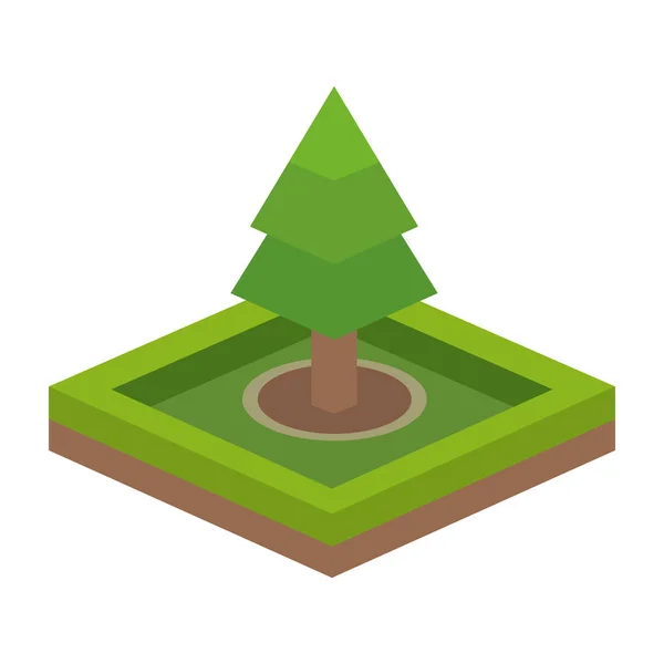 Geïsoleerde pine tree Algorithm — Stockvector