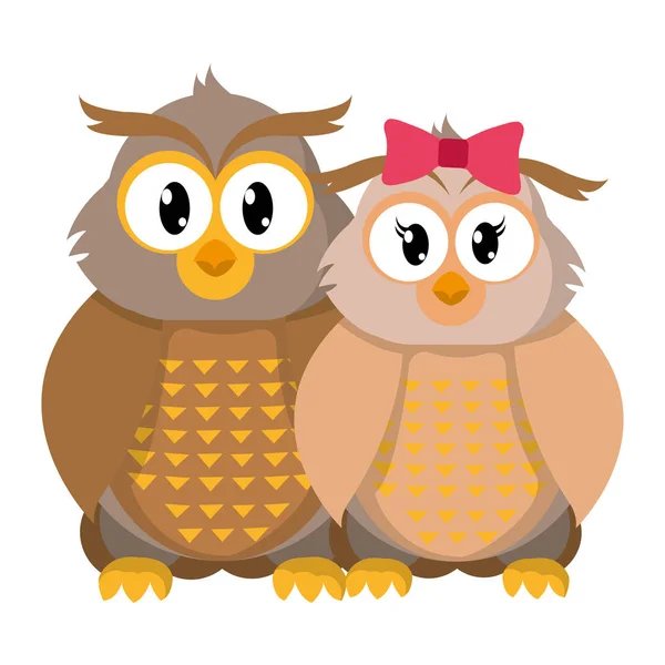 Colorful Owl Couple Cute Animal Together Vector Illustration — Stock Vector