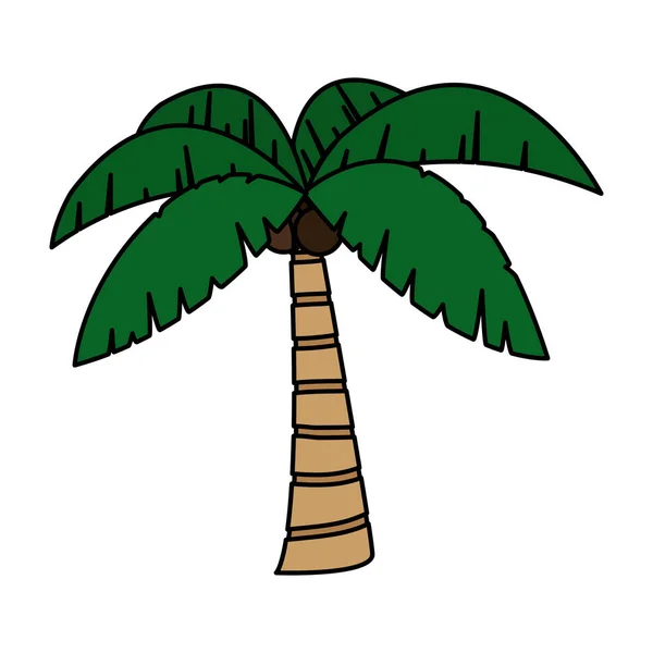Conception isolée de palmiers — Image vectorielle