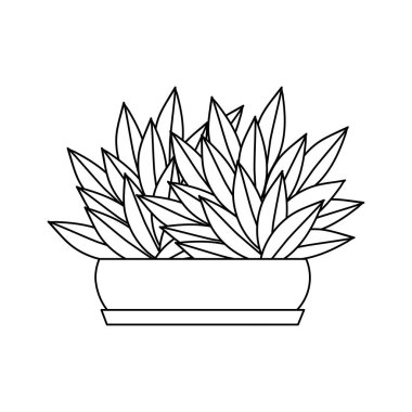 İzole bitki tasarımı