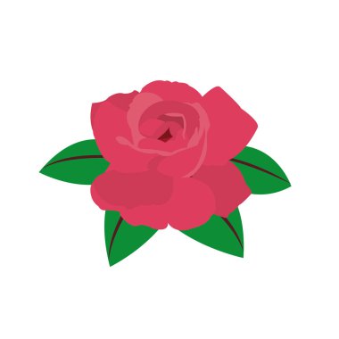 renkli güzel doğa gül yaprakları tasarım vektör çizim ile