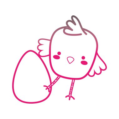 renkli piliç kuş hayvan yumurta ile oynamak