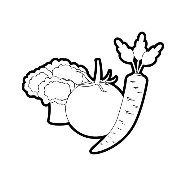 Brocoli Tomate Carotte Légumes Sain Bio Thème Conception Isolée Illustration — Image vectorielle